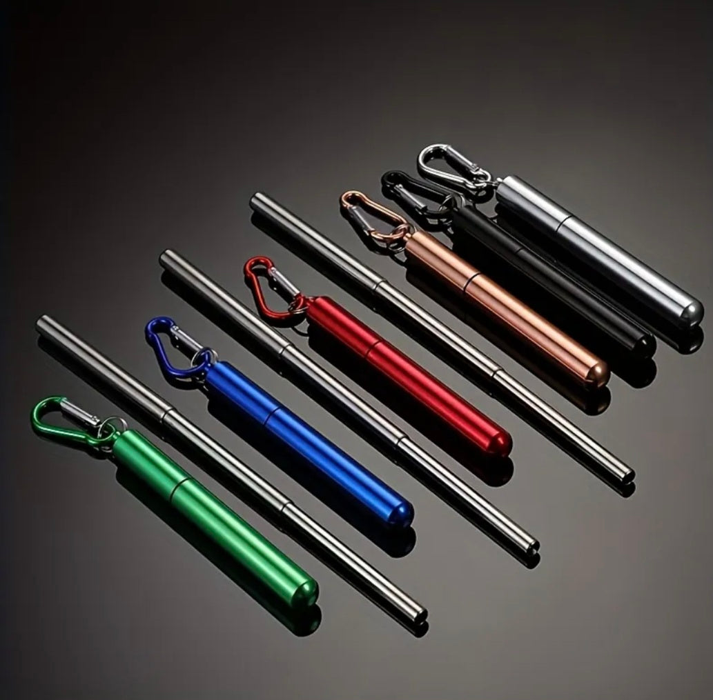 Premium Stainless Steel Straw Set