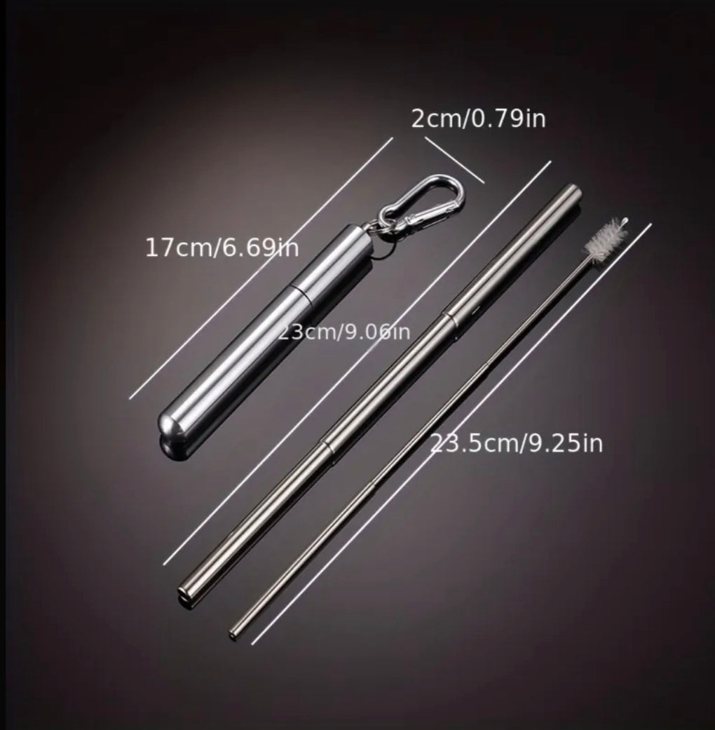 Premium Stainless Steel Straw Set