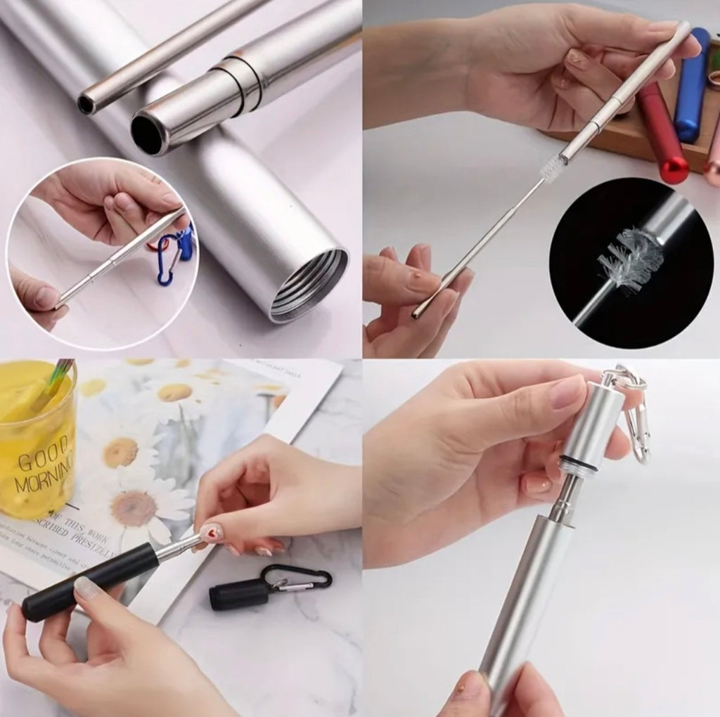 Premium Stainless Steel Straw Set