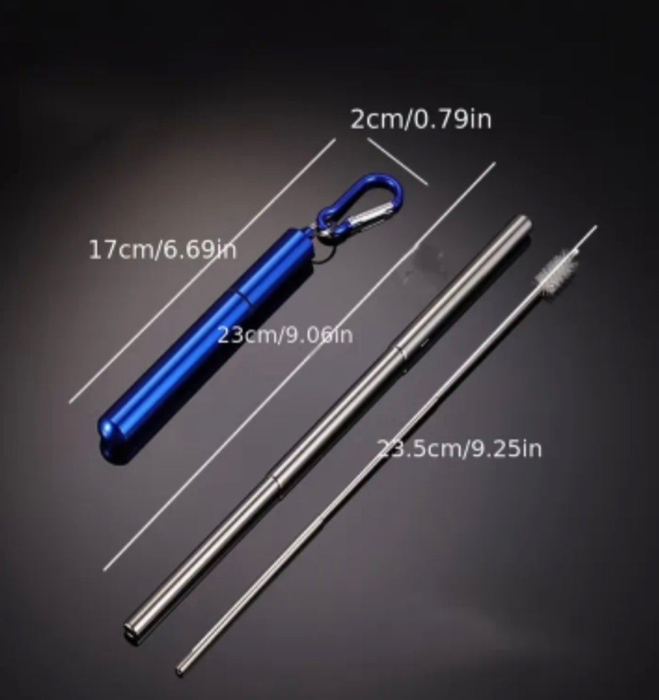Premium Stainless Steel Straw Set