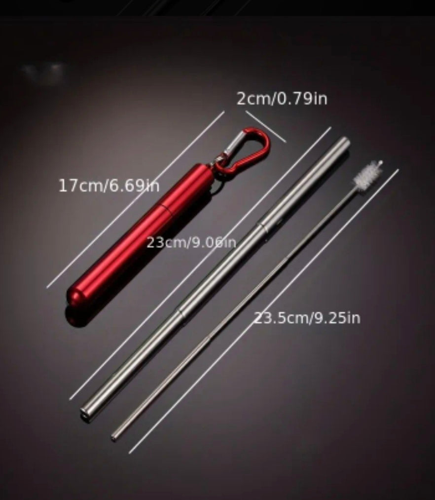 Premium Stainless Steel Straw Set