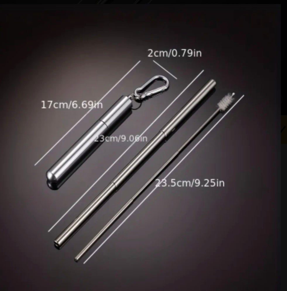 Premium Stainless Steel Straw Set